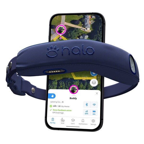 Halo GPS Collar