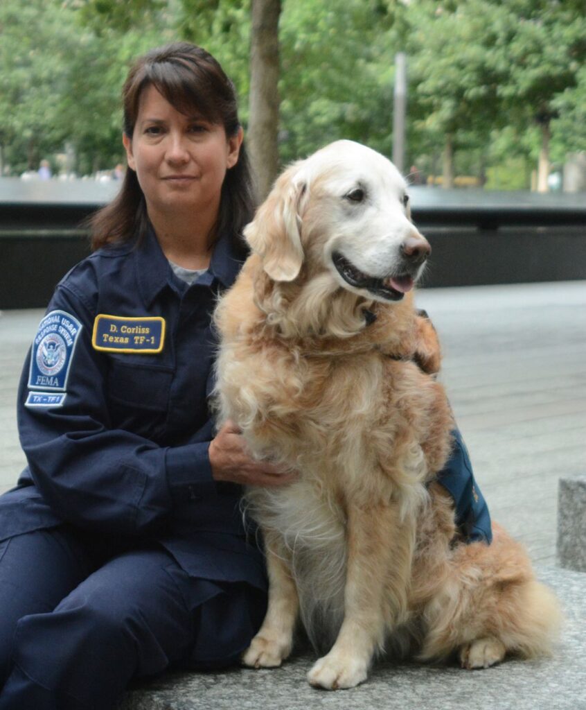 bretagne Bretagne "Brittany" the golden retriever from ground zero